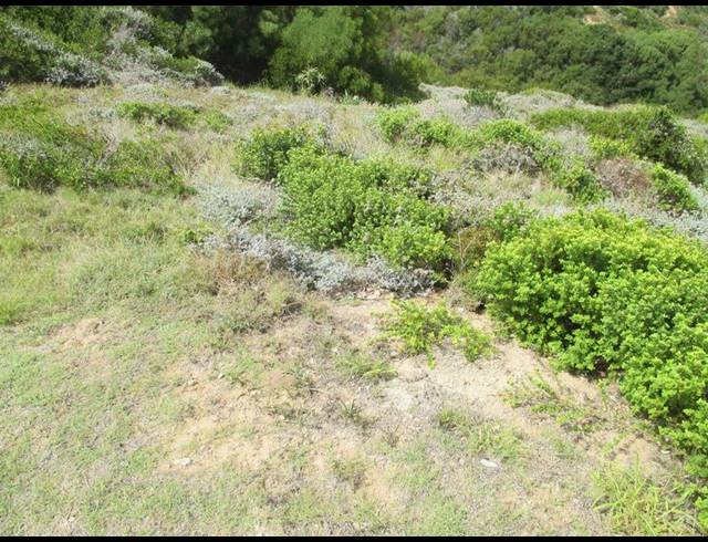 LAND FOR SALE IN DANA BAY